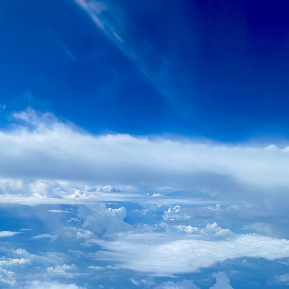 Meet your Posher, Shell - Picture 2 of 4